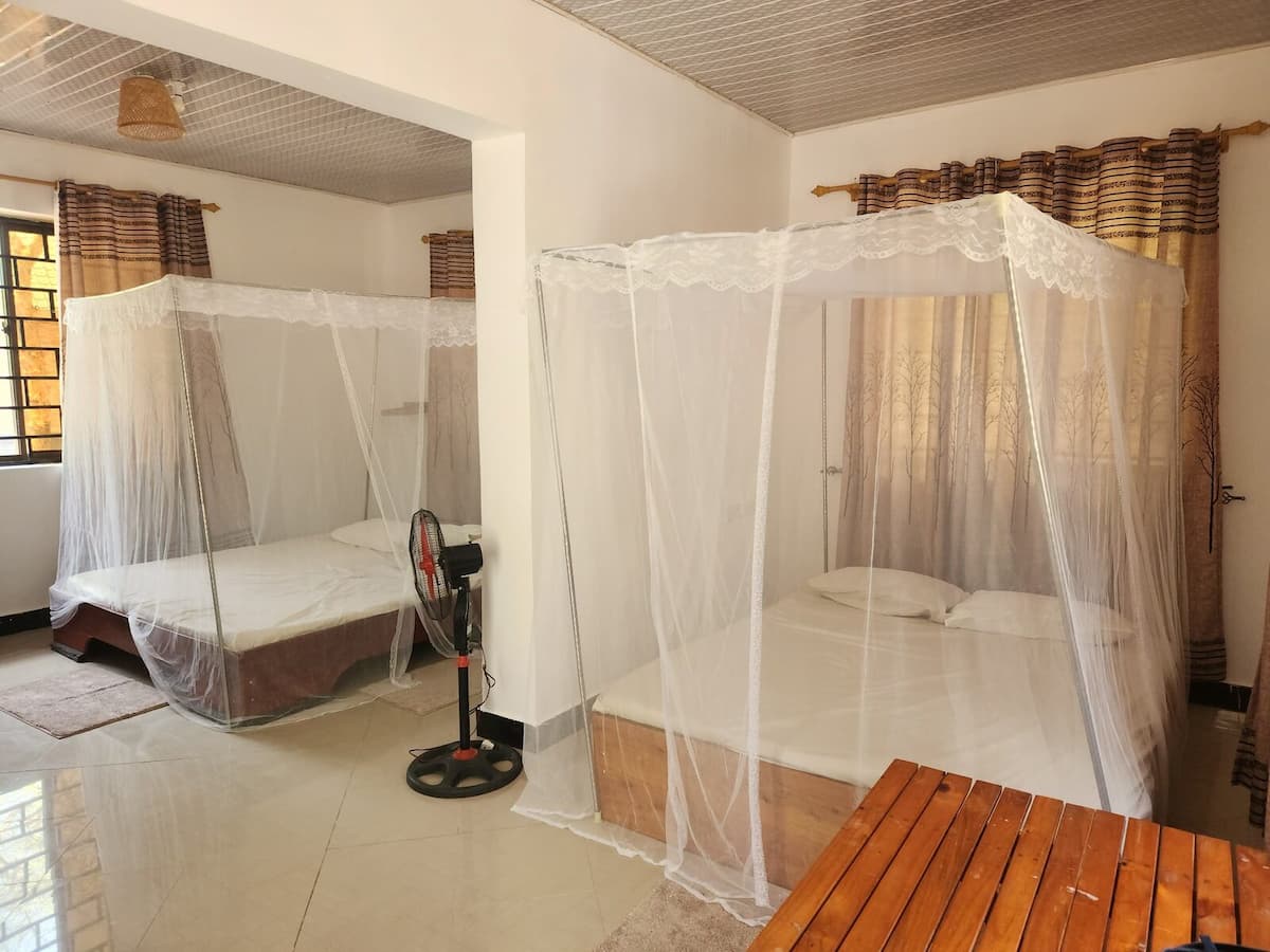 Oxpecker Tours gallery photo 8