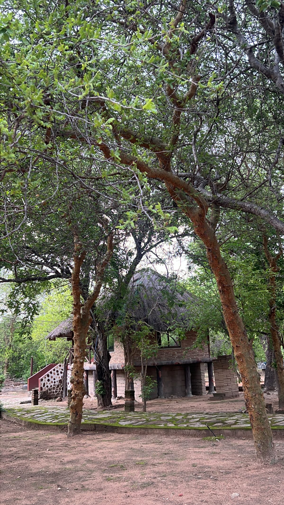 Oxpecker Tours gallery photo 7