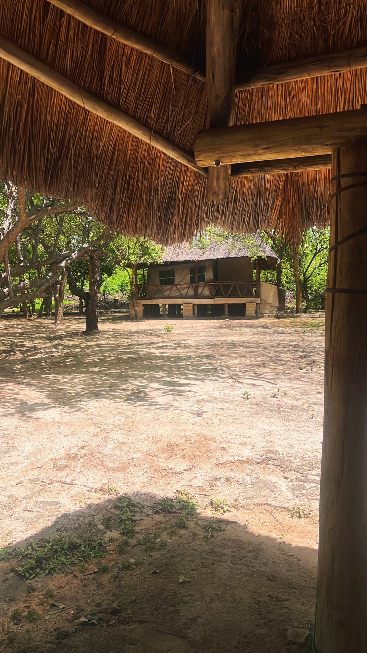 Oxpecker Tours gallery photo 12