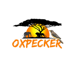 Oxpecker Tours logo