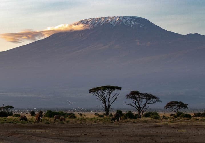 Preparing for Kilimanjaro: What Actually Matters