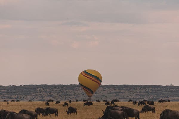 The Great Migration