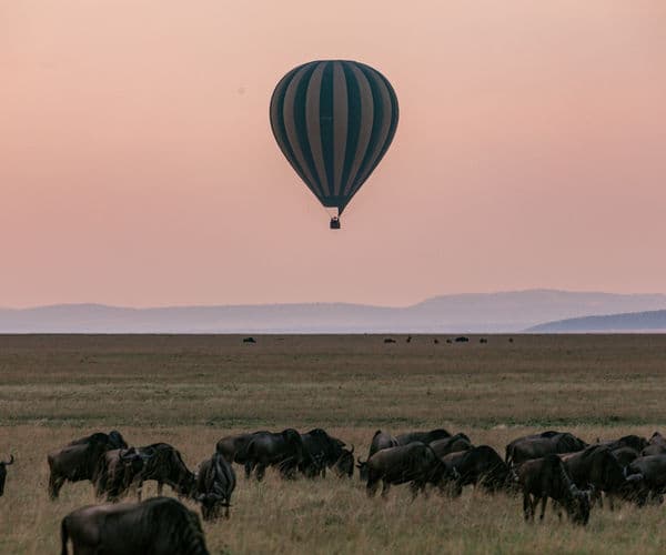Great Migration 1